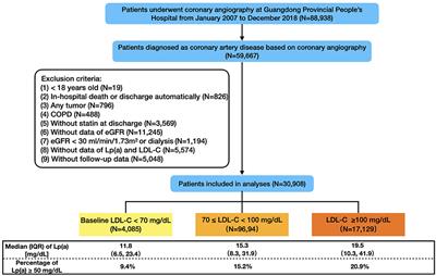 Baseline Low-Density-Lipoprotein Cholesterol Modifies the Risk of All-Cause Death Associated With Elevated Lipoprotein(a) in Coronary Artery Disease Patients